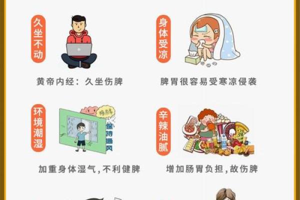 79年火命的颜色选择与生活智慧探讨