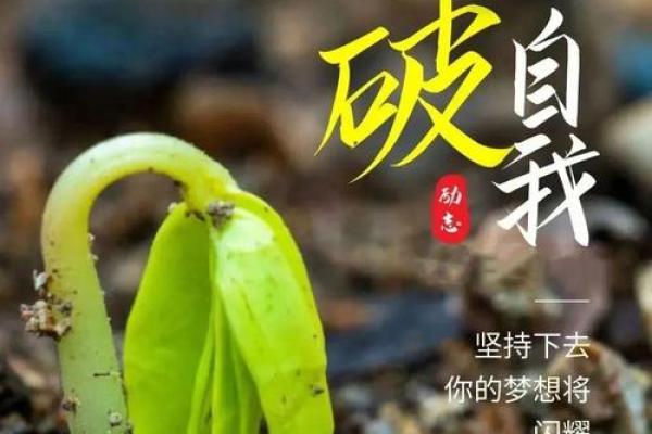 走马扬鞭的命运解析:追梦与坚持的旅程 走马扬鞭的命运解析:追梦与坚持的旅程