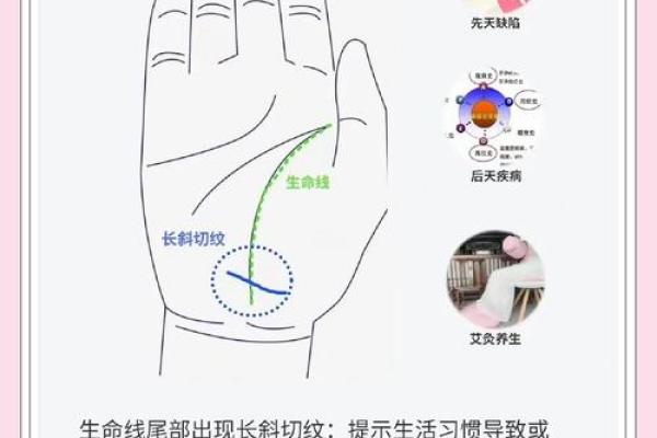 手掌中的秘密:掌握手相,揭示生命与命运之谜 手掌中的秘密:掌握手相,揭示生命与命运之谜