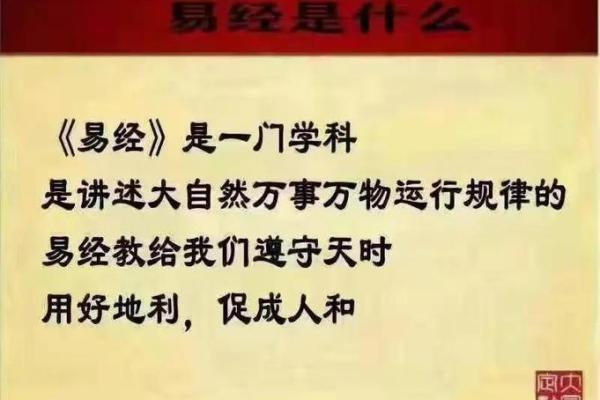 探索命理学的奥秘：各大门派的独特魅力与智慧