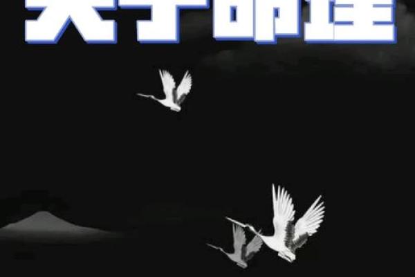 1966年出生的人命运解析：探索命理与生活的奥秘