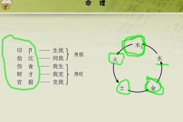 1991年出生的人是什么命?命理 secrets 全解析 1991年出生的人是什么命?命理 secrets 全解析