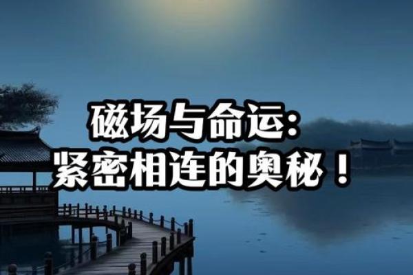 1998戌虎：在茫茫人生中探寻命运的奥秘与转机