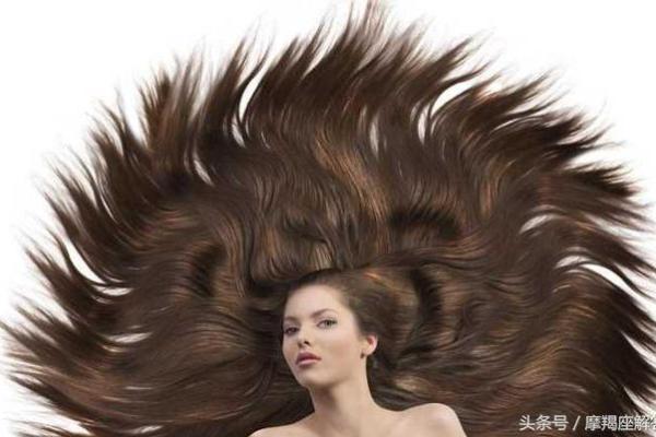 头发多头发硬的命运解析：命运与发质的奇妙关联