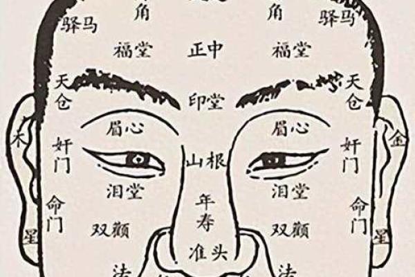 探寻1981的命运密码：你的命理图谱