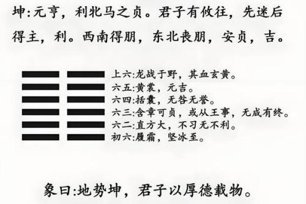 命里有三个木，探讨其命理影响与生活启示