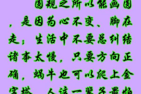 东思命与西思命的区别：文化认知与生活方式的碰撞