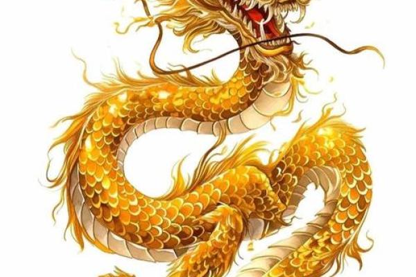 2019年55岁属龙的命运解析：机遇与挑战并存的旅程