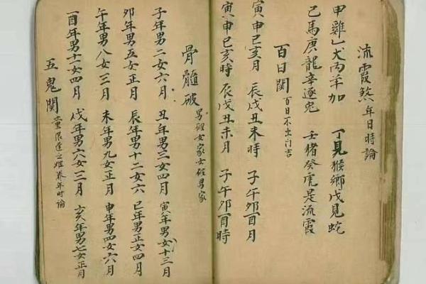 2028年猴年命理解析：如何把握命运走向与生活智慧