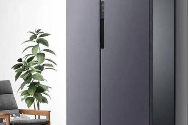 金命人适合配什么颜色冰箱？轻松献上家居风水秘籍！