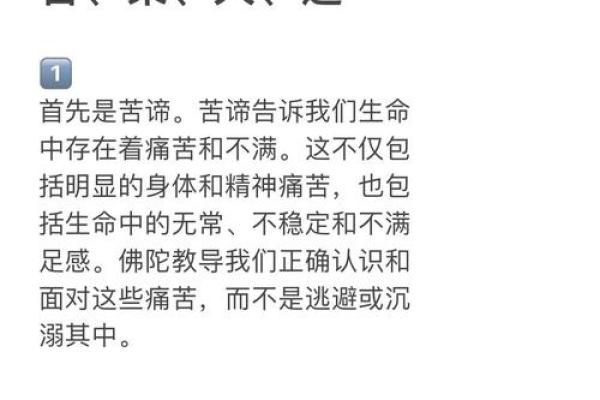 医生与佛门：解密生命的真正意义与命运之道