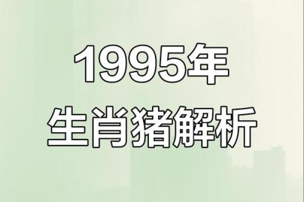 95属猪命理详解:揭秘属猪人的性格与运势 95属猪命理详解:揭秘属猪人的性格与运势