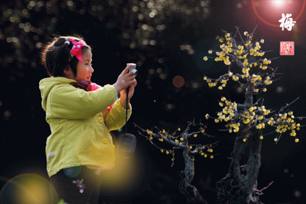 1981年腊月十五：记忆中的那场冬雪与温暖的故事