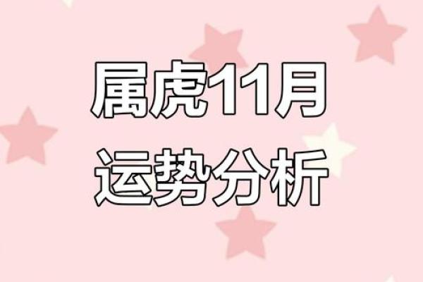 属虎女性在八月的运势与命理解析：揭示她们的幸福密码