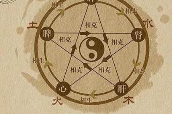 探秘“天罗地网”命运：算卦中的奥秘与启示