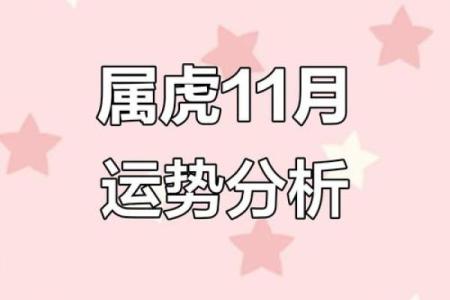 属虎女性在八月的运势与命理解析：揭示她们的幸福密码