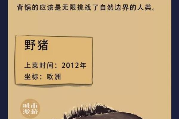 疲于供命的动物：驯服的小骆驼与自由的灵魂