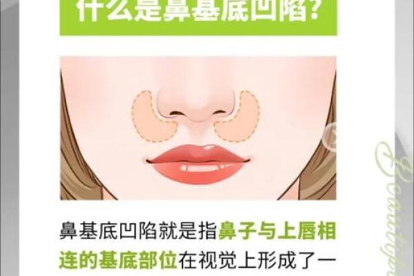 鼻头大的女生命运解析:寻找幸福的秘诀与未来展望 鼻头大的女生命运解析:寻找幸福的秘诀与未来展望