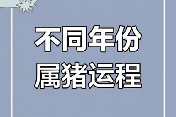 属猪的人是什么星座，命运如何更好？