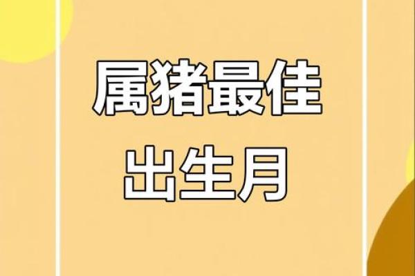 属猪的人是什么星座，命运如何更好？
