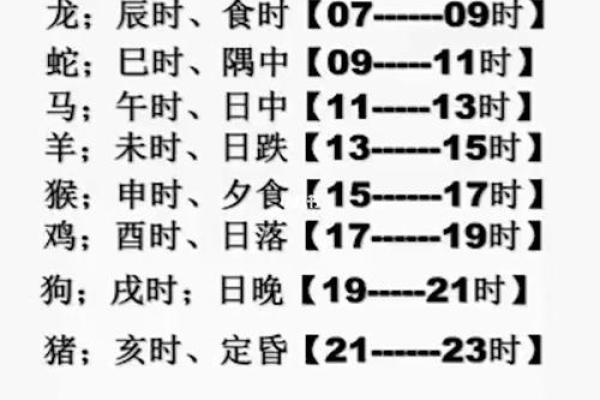 分析不同时辰出生的虎命运,揭示命理中的奥秘 分析不同时辰出生的虎命运,揭示命理中的奥秘