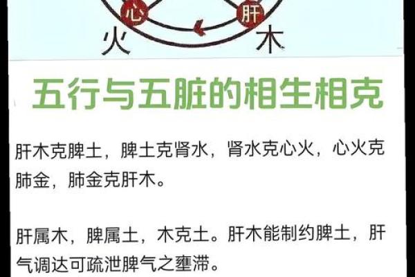 猴子火命的偏旁与五行:相生相克的小秘密 猴子火命的偏旁与五行:相生相克的小秘密