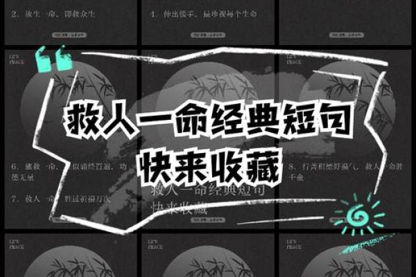 一命与二命:探寻人生的深层含义与选择 一命与二命:探寻人生的深层含义与选择