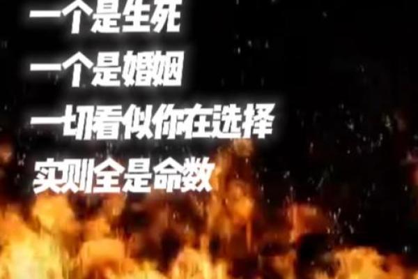 一命与二命:探寻人生的深层含义与选择 一命与二命:探寻人生的深层含义与选择