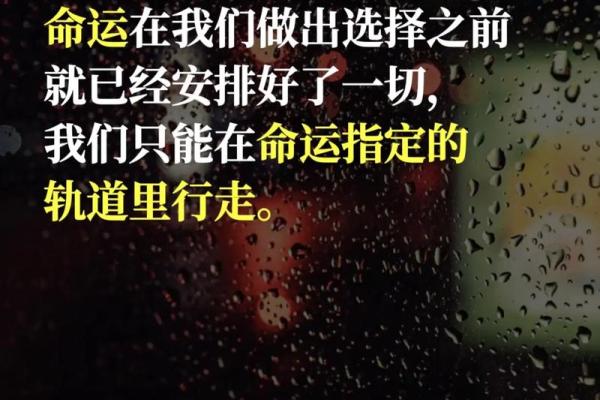 1912年的命运：命理与人生的奇妙联系