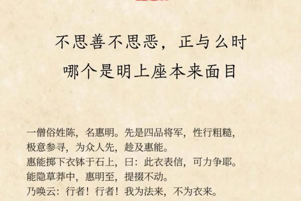 君子为何总是穷命？探寻背后的智慧与哲学