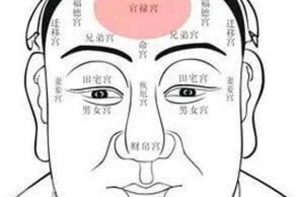 198705出生的人命运解析：命理与性格的奇妙关联