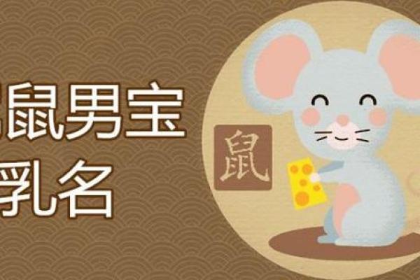 1096年属鼠命运解析：探索鼠年的不同命格与人生轨迹