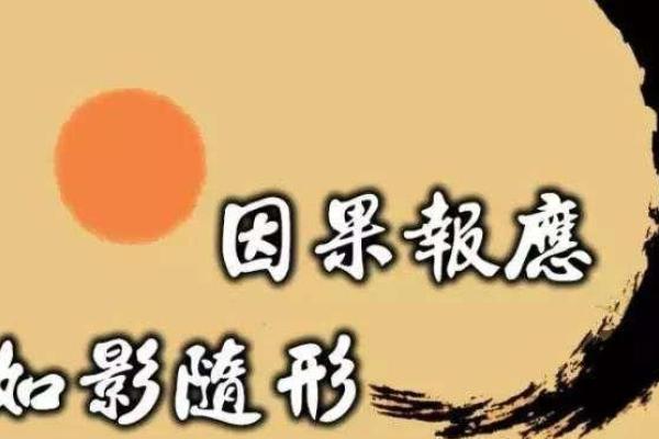 姓李之人如何揭示命运的奥秘与成长之路