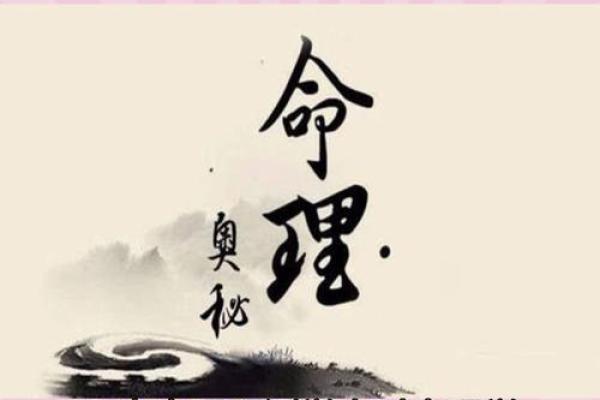 1988年出生的人命运解析：探索命理的奥秘与人生机遇