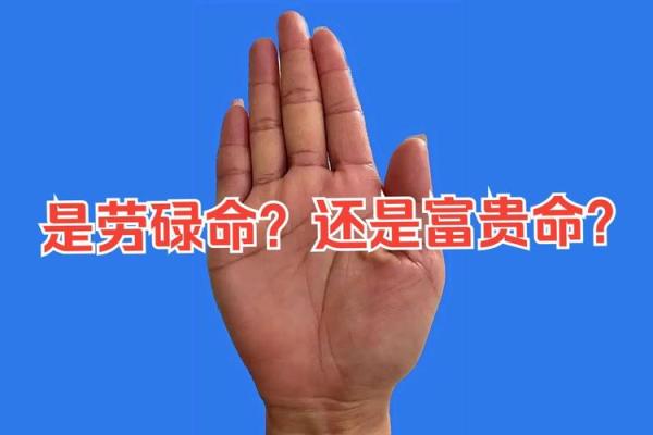 富贵命与劳碌命的区别：命运背后的秘密与较量