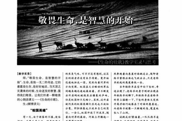 1037年的牛年：命运与人生智慧的探讨