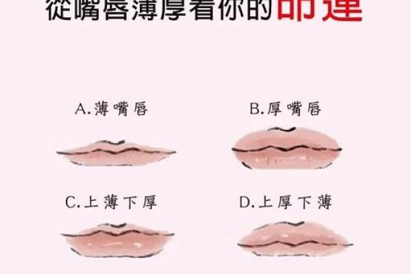 从面相看男女命运，揭秘夫运对生活的影响与选择