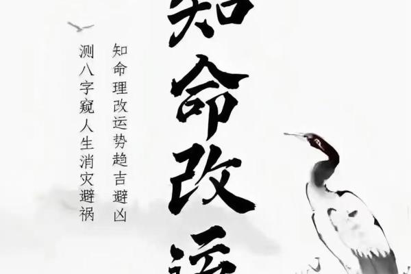 2018年命运解析：八字看你的运势走向与人生机遇