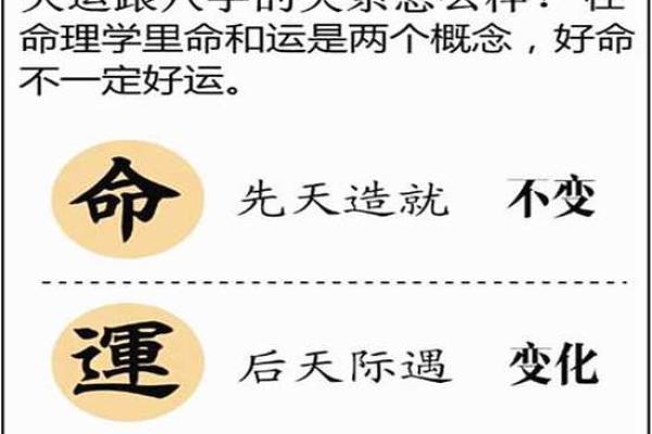 城头土命的数字密码：解密八字命理中的运势与财富之路