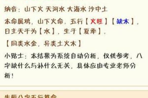 揭秘木命鸡的职业选择：适合你的理想工作是什么？