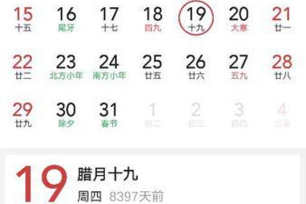 2019年阴历属相及命理解析：探索你的命运密码