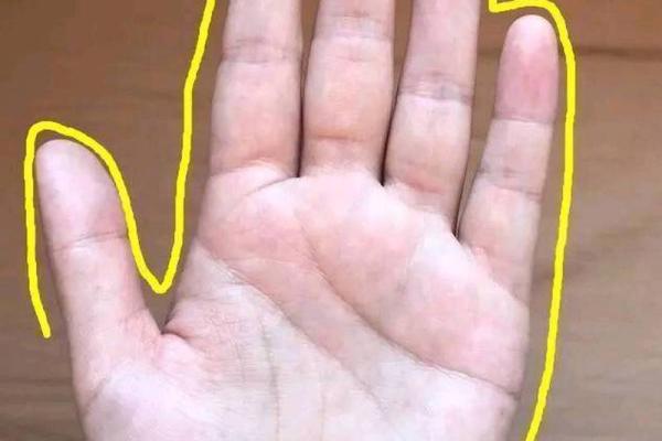 命局分析：木命人缺什么？探寻命运中的平衡与和谐！