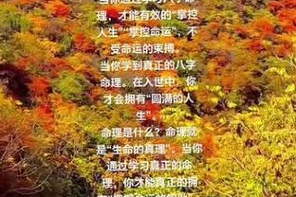 如何通过命理测算孩子的未来发展与人生方向