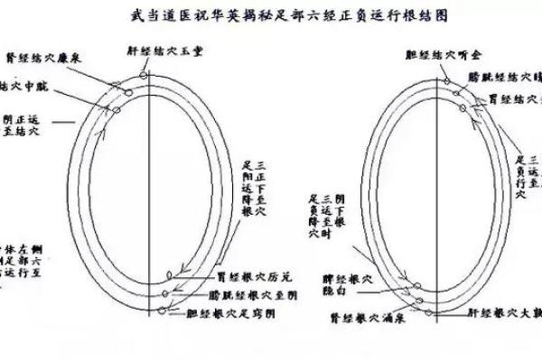 女命身旺官多有印：揭秘这一独特命格的幸福密码