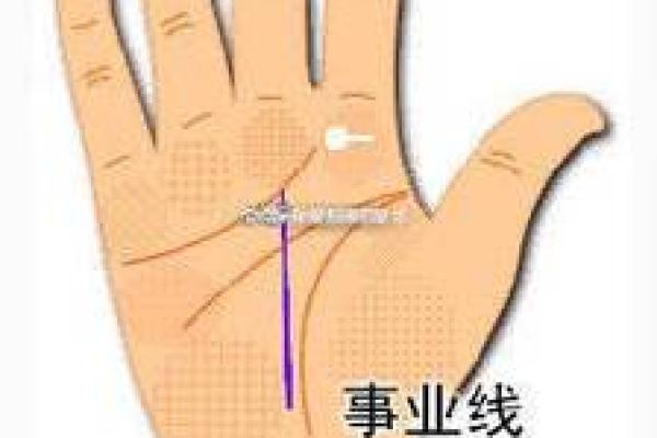 揭示手掌之谜：掌纹与命运的奇妙关系