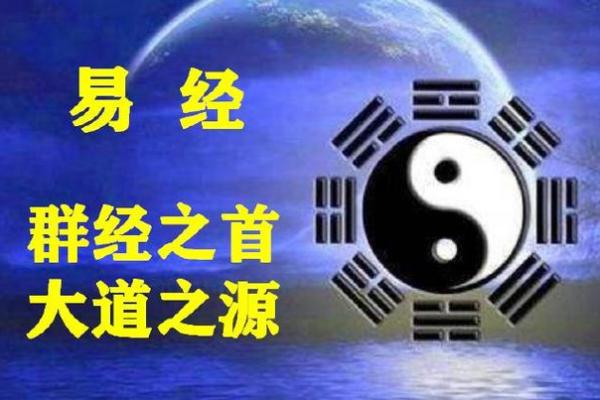 小脚趾的短与长：揭示命运的奥秘与人生的启示