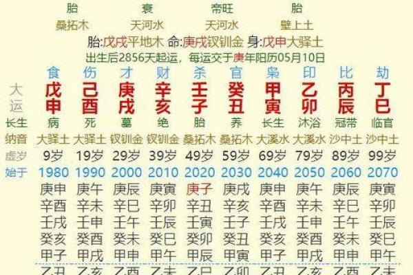孤命是什么时辰的人？探寻命理背后的秘密与启示