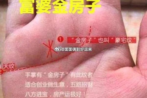 揭秘富贵命：从女人的手掌看人生的财富与幸福