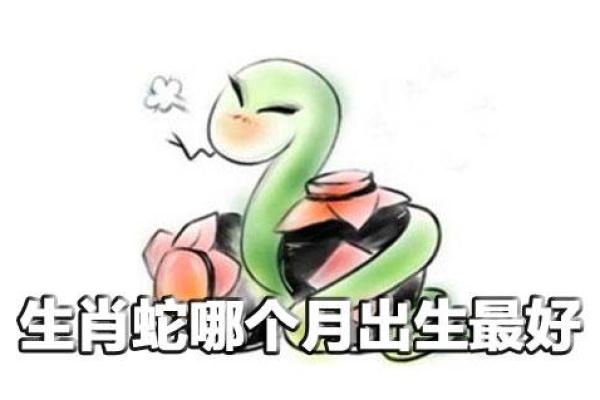 2013年蛇宝宝的命运解析：揭示潜力与挑战的秘密