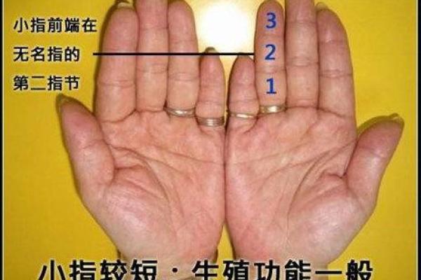 揭秘婚姻不合的命理原因与解决之道